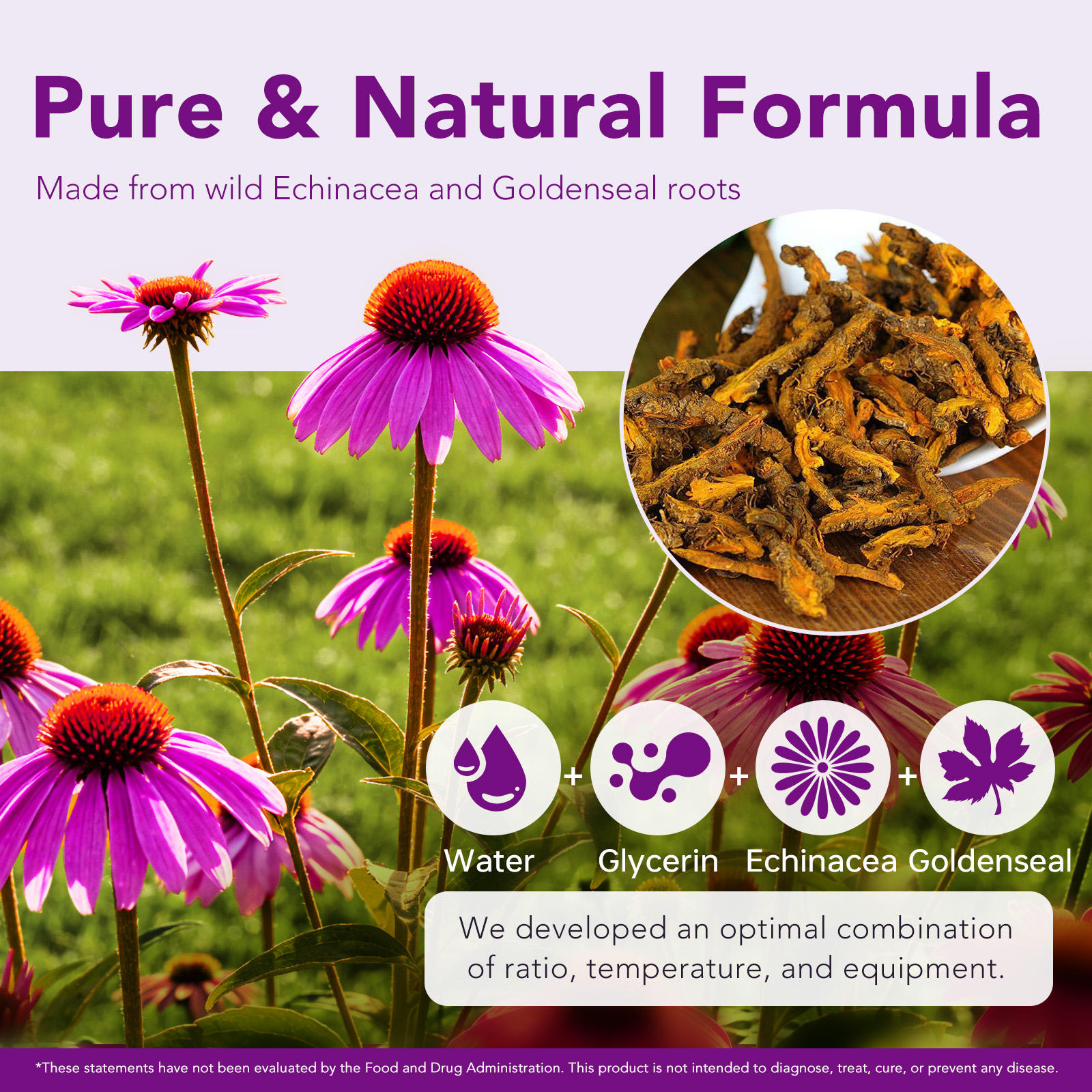 Itawel® - Echinacea Goldenseal Root Liquid Drops